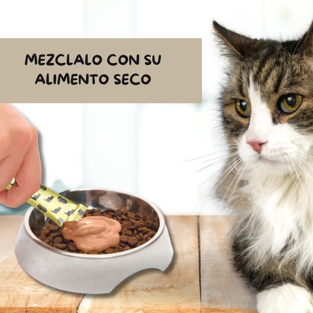Snack Funcional Cremoso Para Gatos - (5 Snacks De 15g Por Sobre)