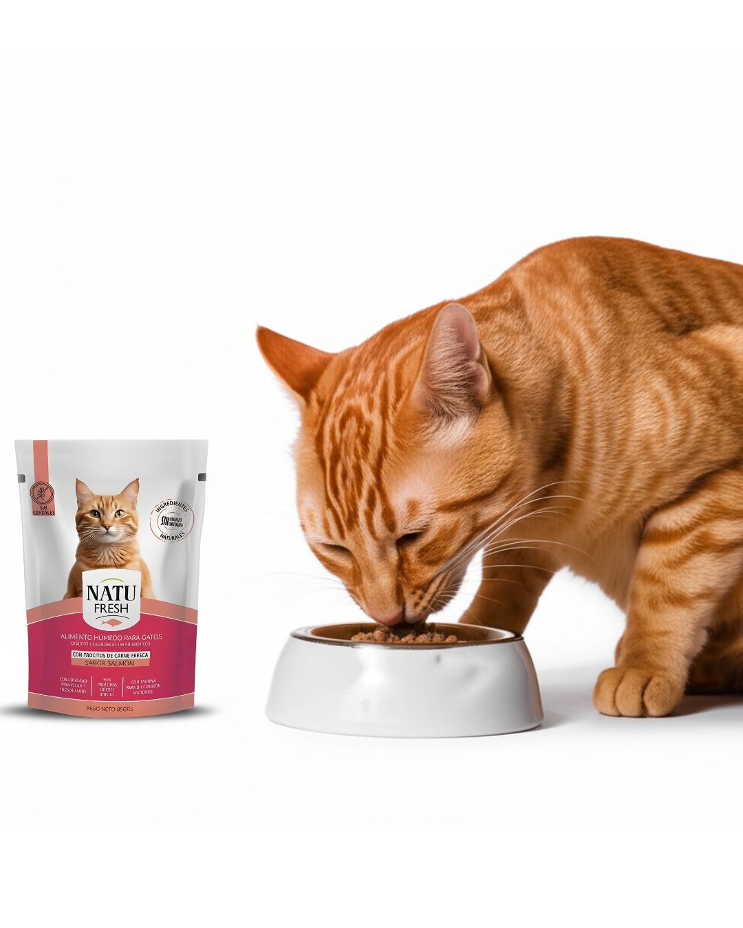 Alimento húmedo Salmón X5 Sobres 85g – Fuente de colágeno y taurina