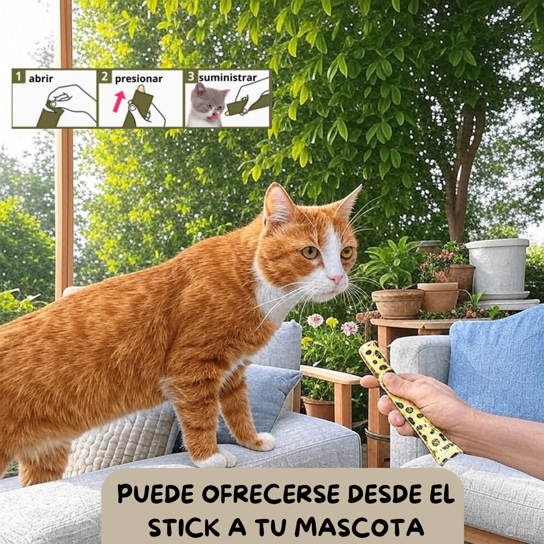 Snack Funcional Cremoso Para Gatos - (5 Snacks De 15g Por Sobre)