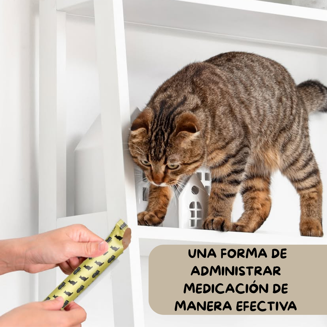 Snack Funcional Cremoso Para Gatos - (5 Snacks De 15g Por Sobre)